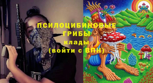 ПСИЛОЦИБИНОВЫЕ ГРИБЫ Переславль-Залесский