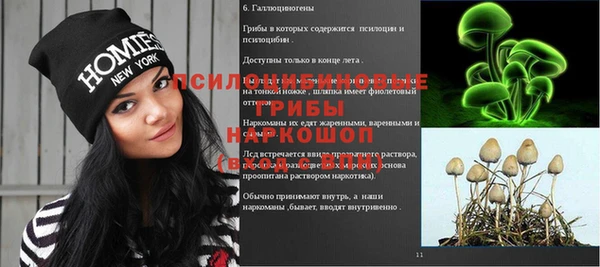 героин Абаза