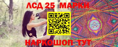 a pvp Заводоуковск