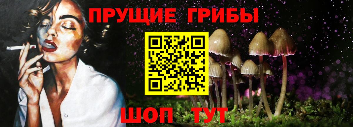 Псилоцибиновые грибы Cubensis Лабинск